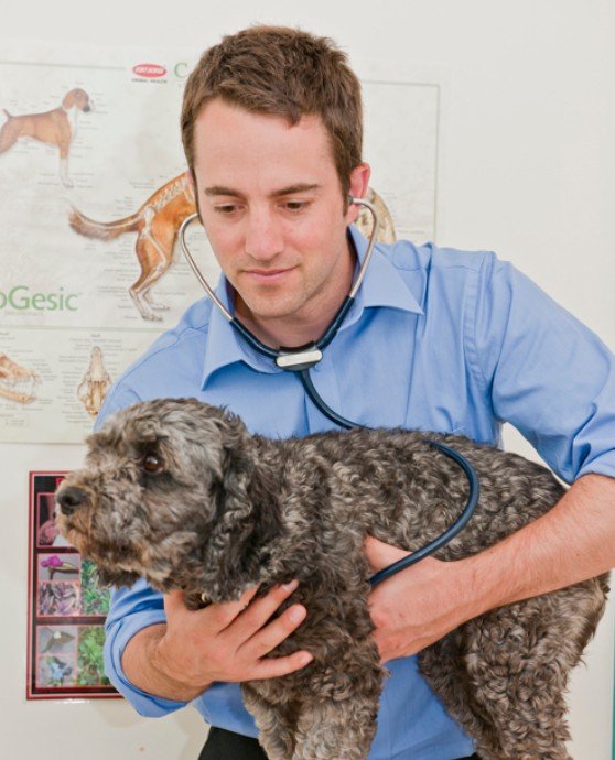Bentleigh Veterinary Clinic