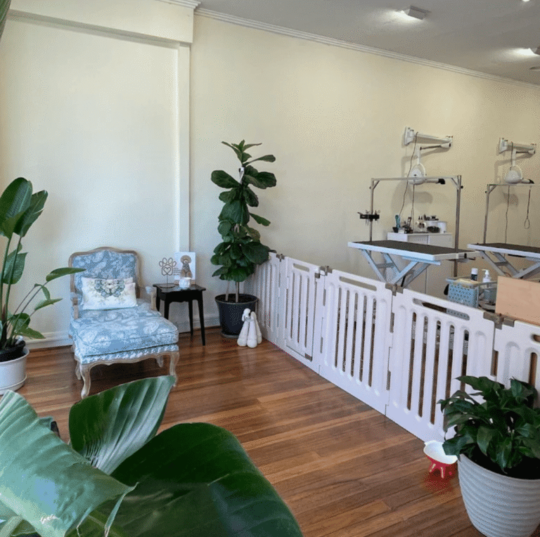 Pets Journey Grooming Salon Bentleigh
