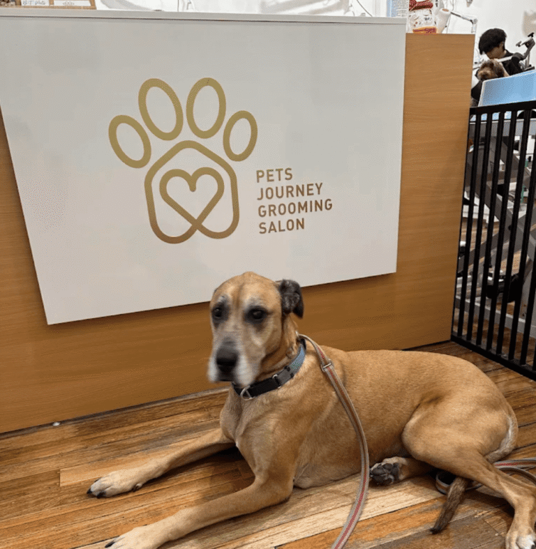 Pets Journey Grooming Salon Bentleigh