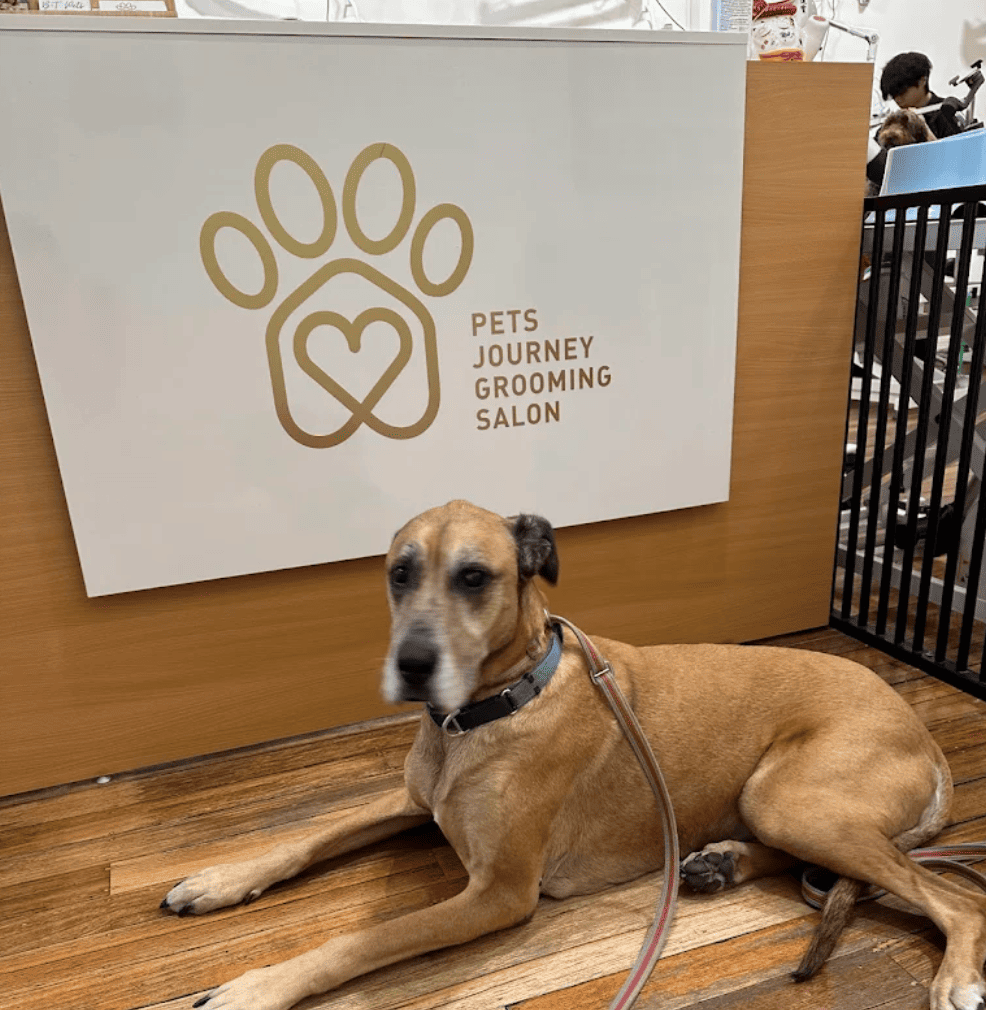 Pets Journey Grooming Salon Bentleigh