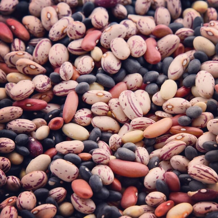 The Fresh Nut Centre Bentleigh